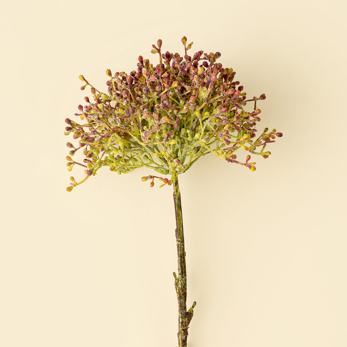 A single artificial viburnum berry stem, pink flower stem with a round cluster of small brown and muted green blossoms, placed vertically on a beige surface at la maison garçonne in montreal.
