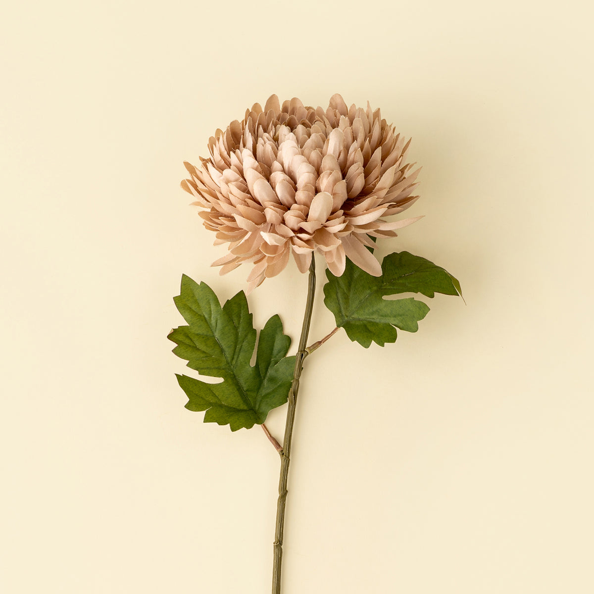 close up on a artificial beige chrysanthemum flower stem with green leaves, placed diagonally on a beige surface at boutique la maison garçonne in montreal.