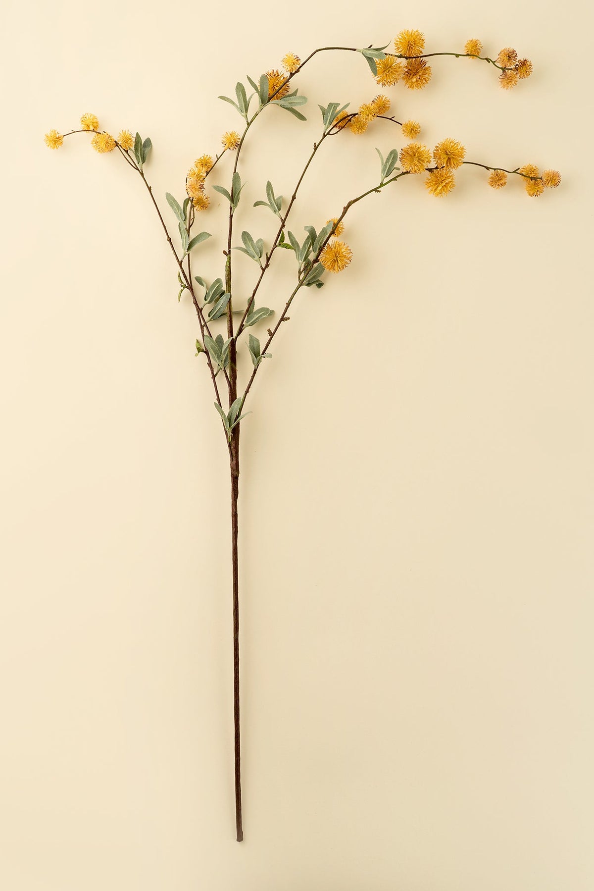 A single golden globe flower spray artificial flower stem with small yellow blossoms and muted green leaves, laid flat on a beige surface at la maison garçonne boutique in montreal.
