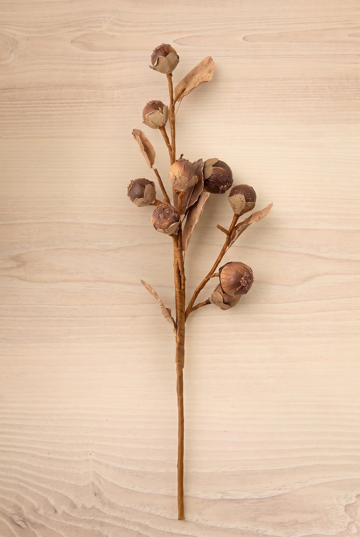 A single dried artificial botanical stem with several brown seed pods and small tan leaves, photographed at la maison garçonne montreal