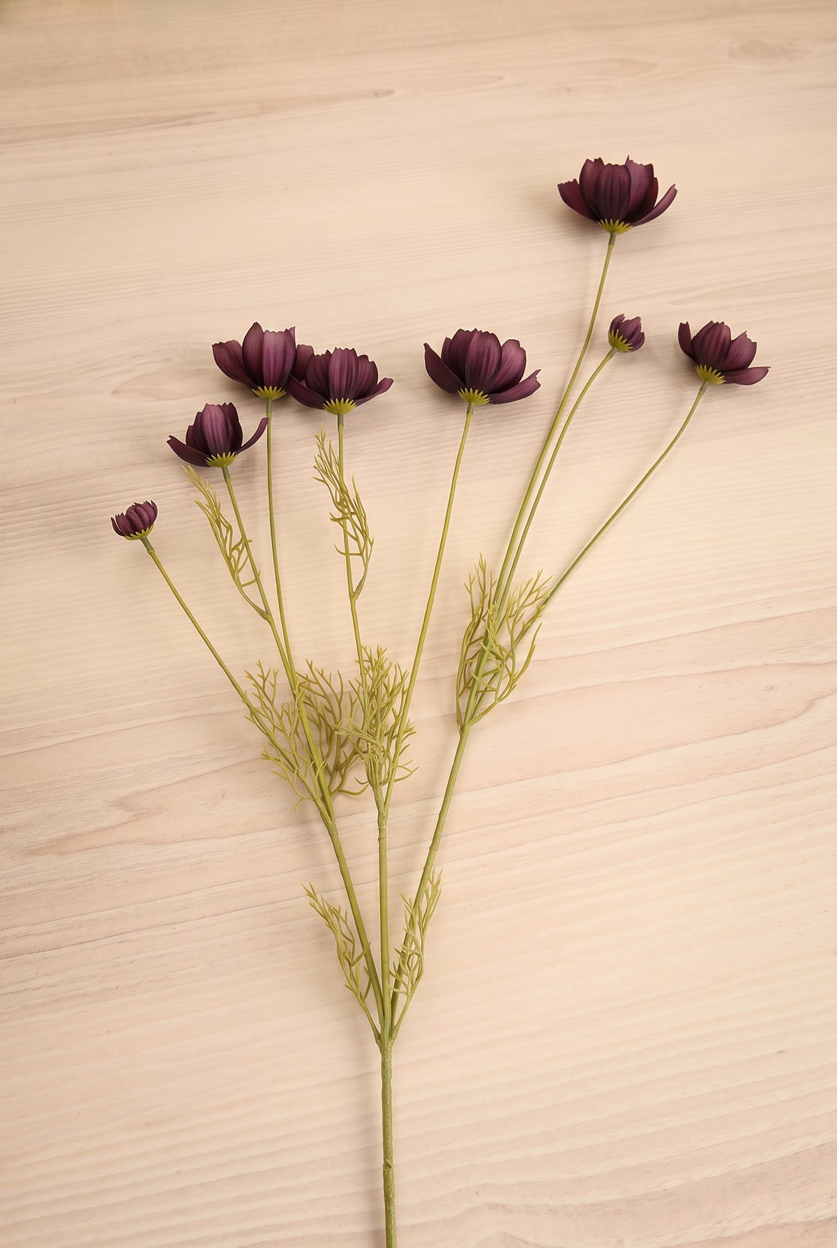 close-up on A bouquet of artificial deep purple calliopsis spray flowers with long green stems and feathery foliage, arranged diagonally on a light beige wood-grain surface at la maison garçonne in montreal.
