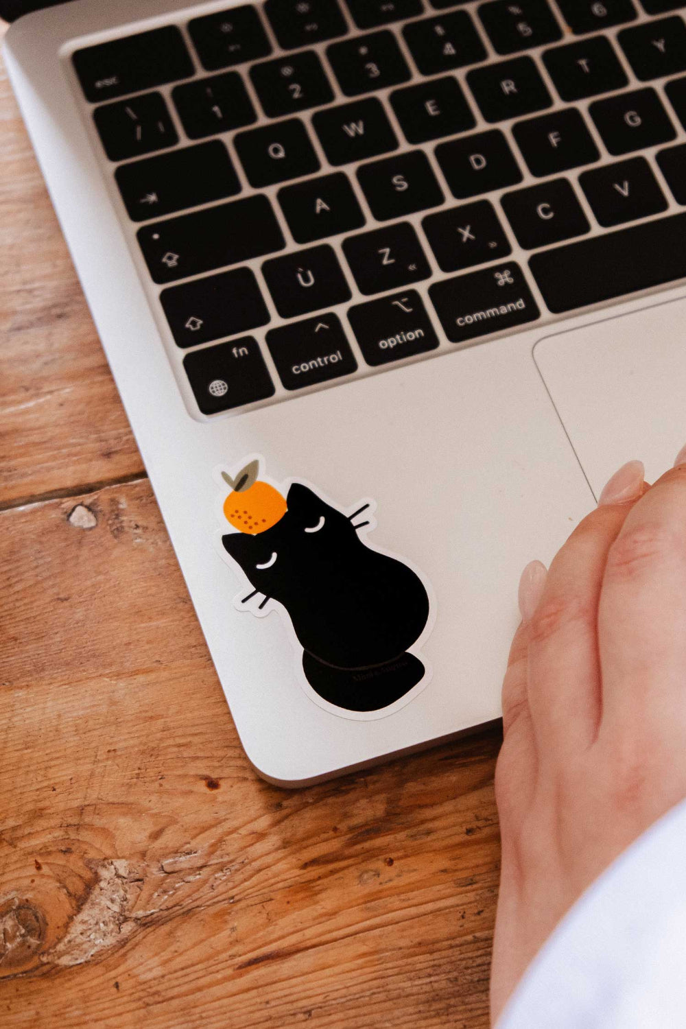 Orange Cat | Sticker