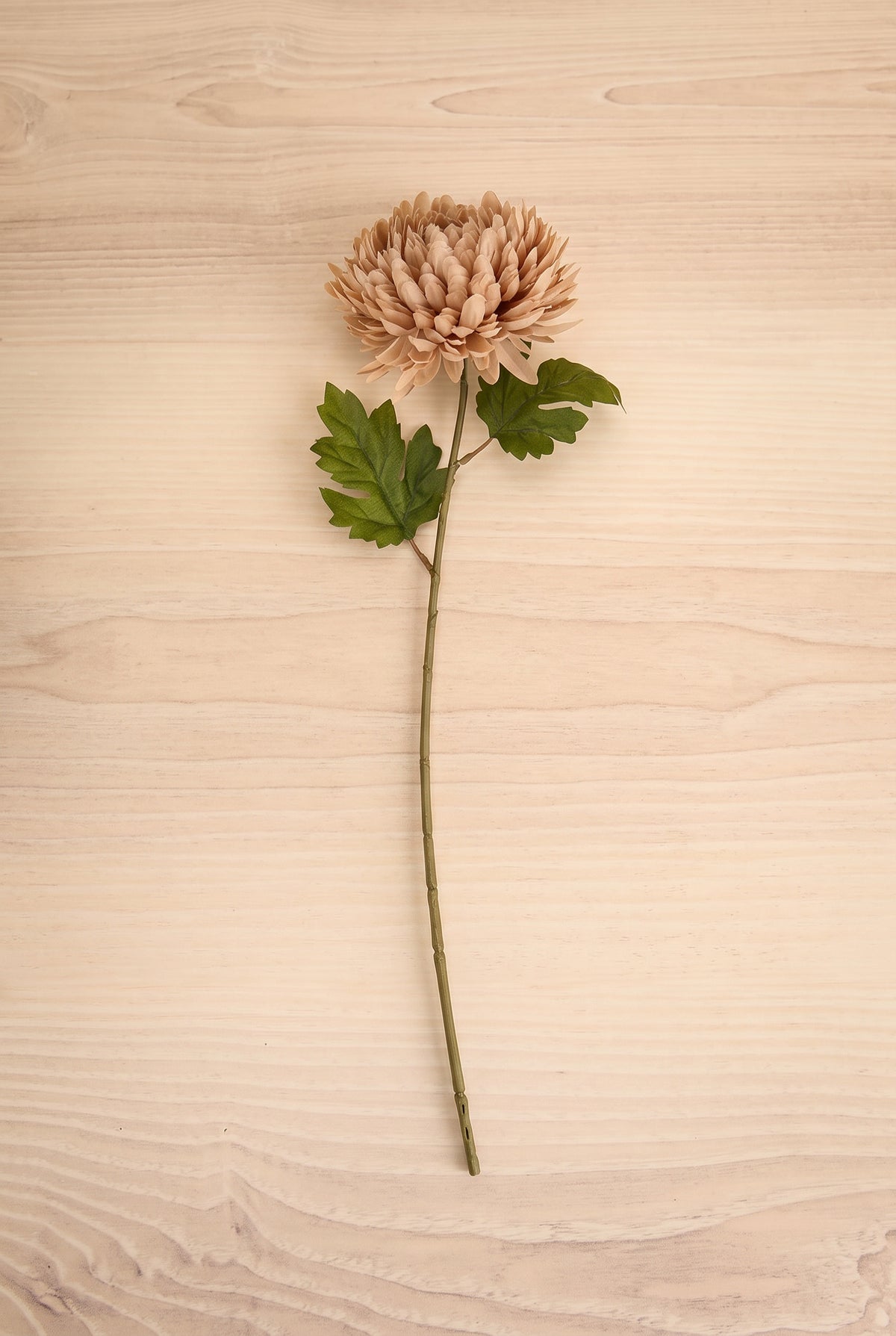 One artificial beige chrysanthemum flower stem with green leaves, placed diagonally on a light wood grain surface at boutique la maison garçonne in montreal.