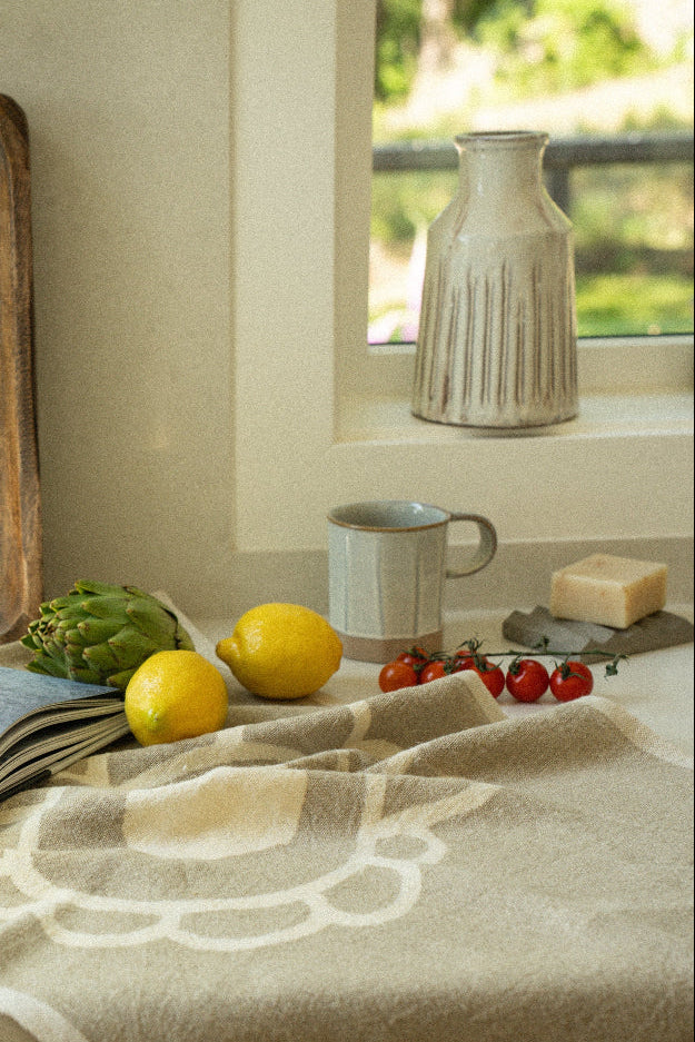 Kitchen counter with a book, lemons, and a pitcher near a window