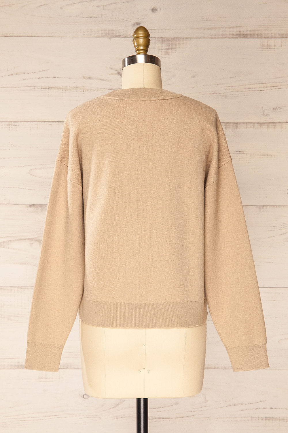 Calye Taupe Oversized Short Sweater | La petite garçonne back view