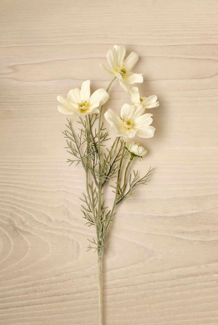 Bouquet of White Cosmos Spray flowers on a wooden surface