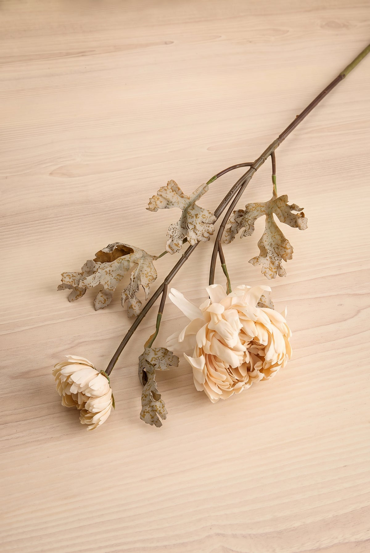 Dried dahlia spray artificial cream colour flower stems with beige blooms and brown leaves arranged diagonally on a light wood grain surface at la maison garçonne in montreal.