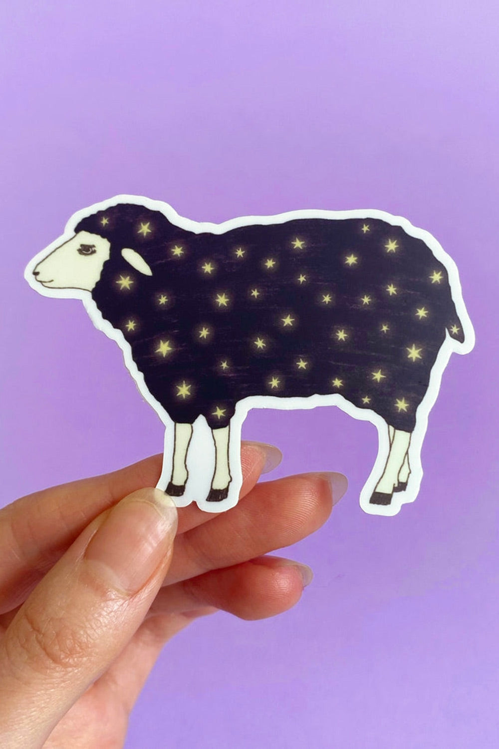 Mouton de Rêve | Autocollant