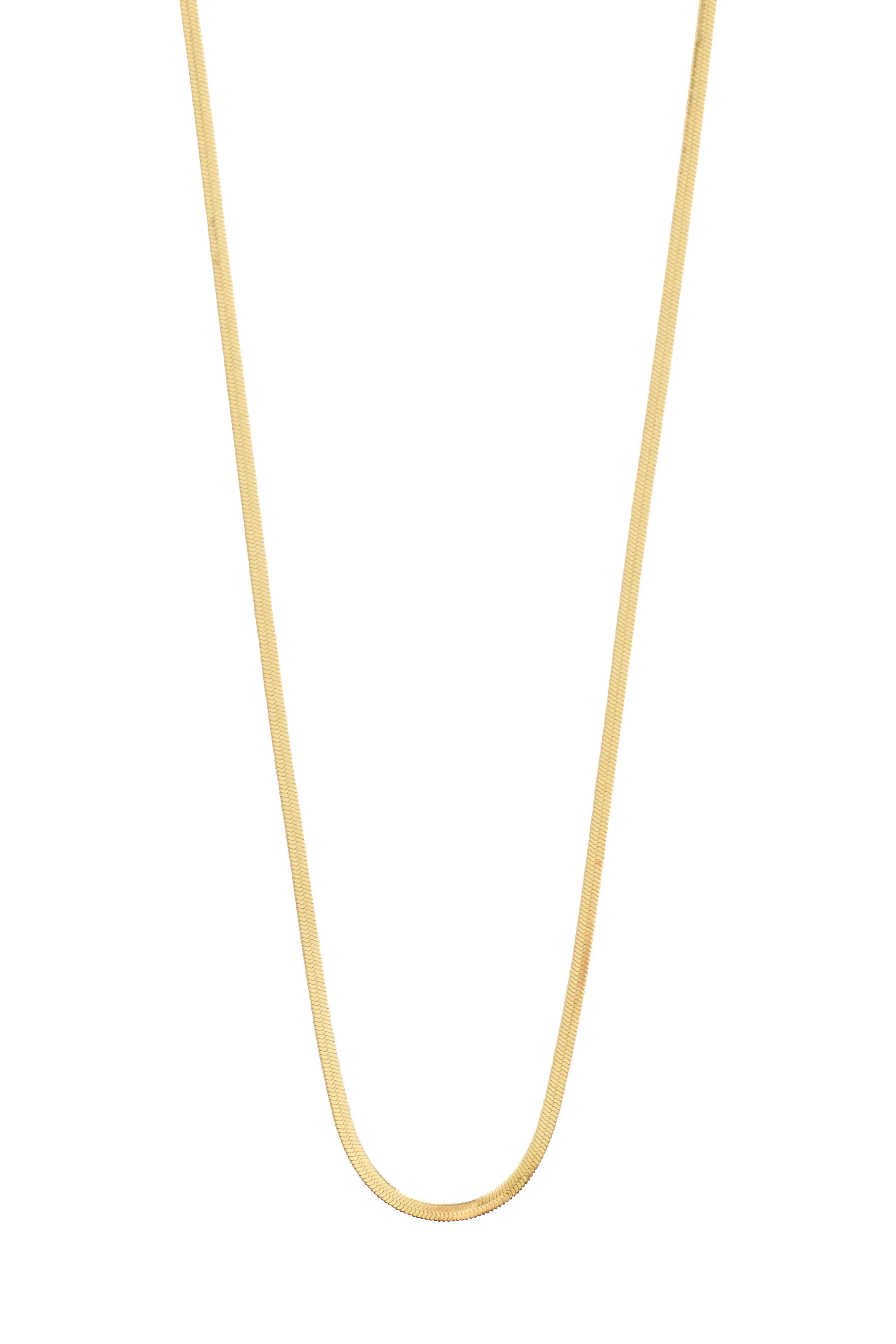 Nykyta Gold | Herringbone Chain Necklace by Pilgrim
