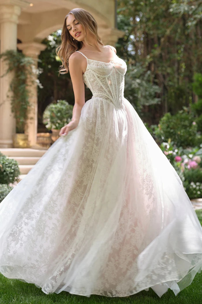 Oliva Bridal Lace A-Line Dress with Pearls