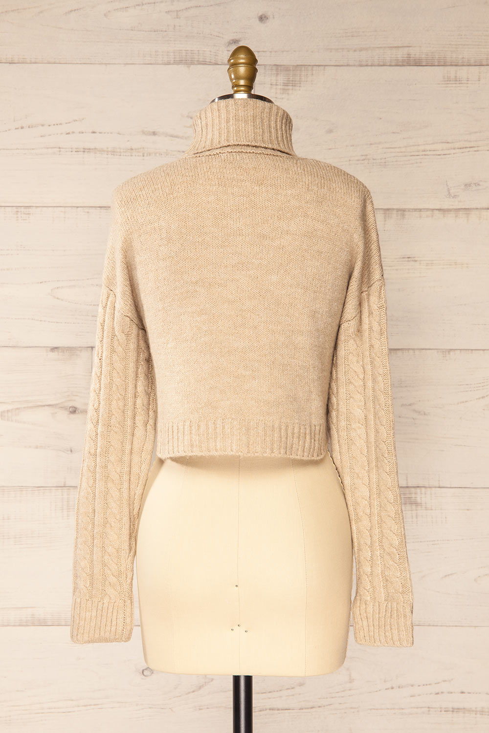 Pulborough Beige Cropped Turtleneck Sweater | La petite garçonne back view