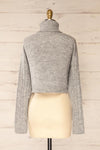 Pulborough Grey Cropped Turtleneck Sweater | La petite garçonne  back view