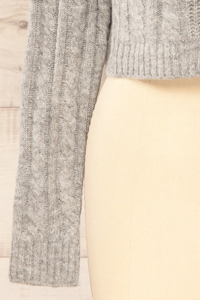 Pulborough Grey Cropped Turtleneck Sweater | La petite garçonne  sleeve