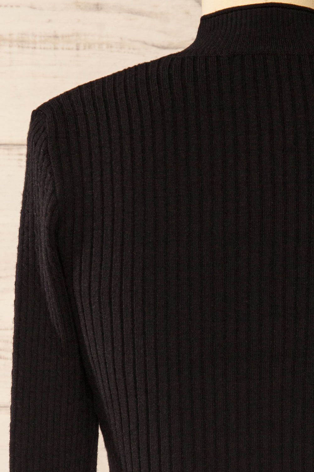 Sambir Black Mock Neck Ribbed Fitted Top | La petite garçonne back close-up