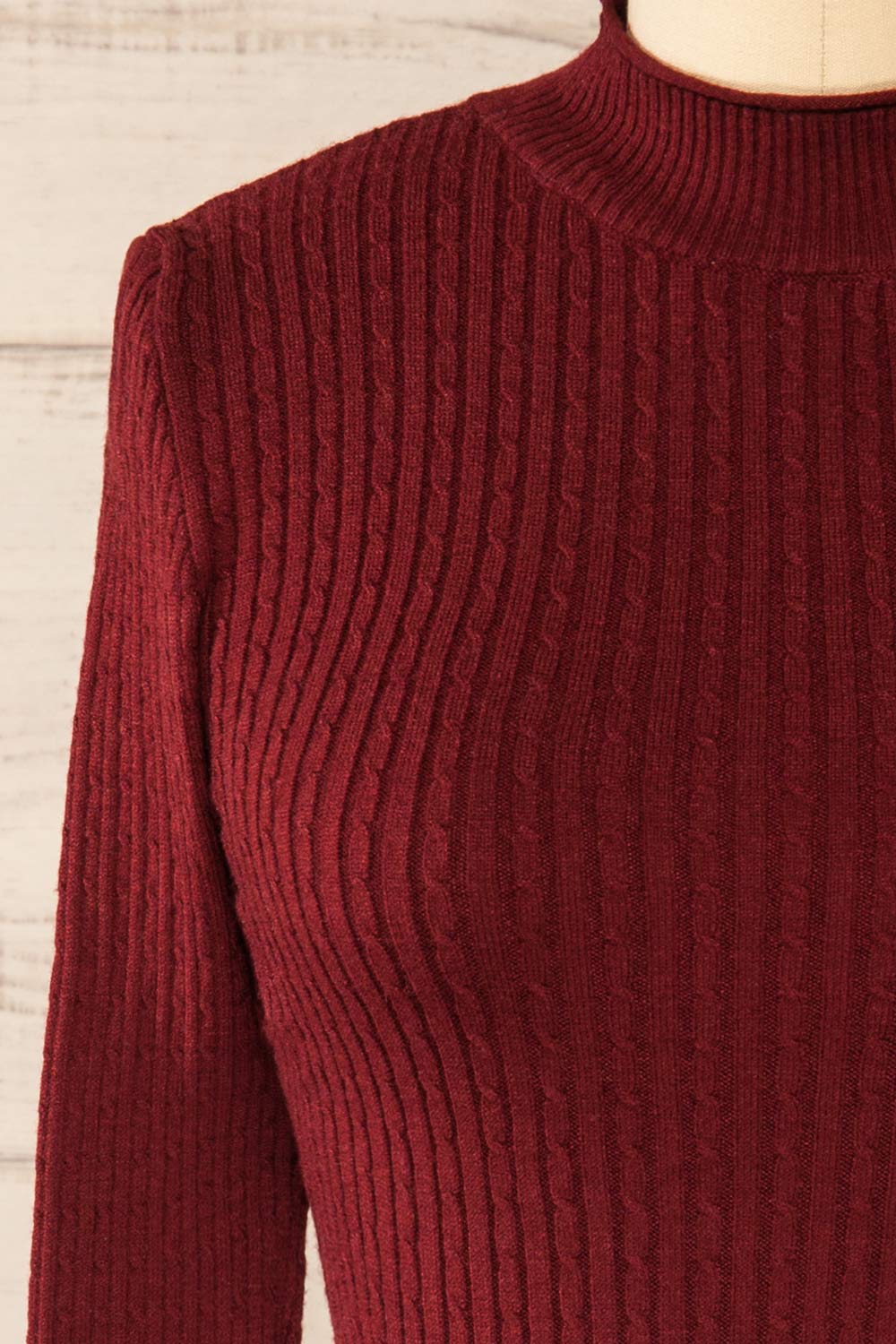 Sambir Burgundy Mock Neck Ribbed Fitted Top | La petite garçonne front close-up