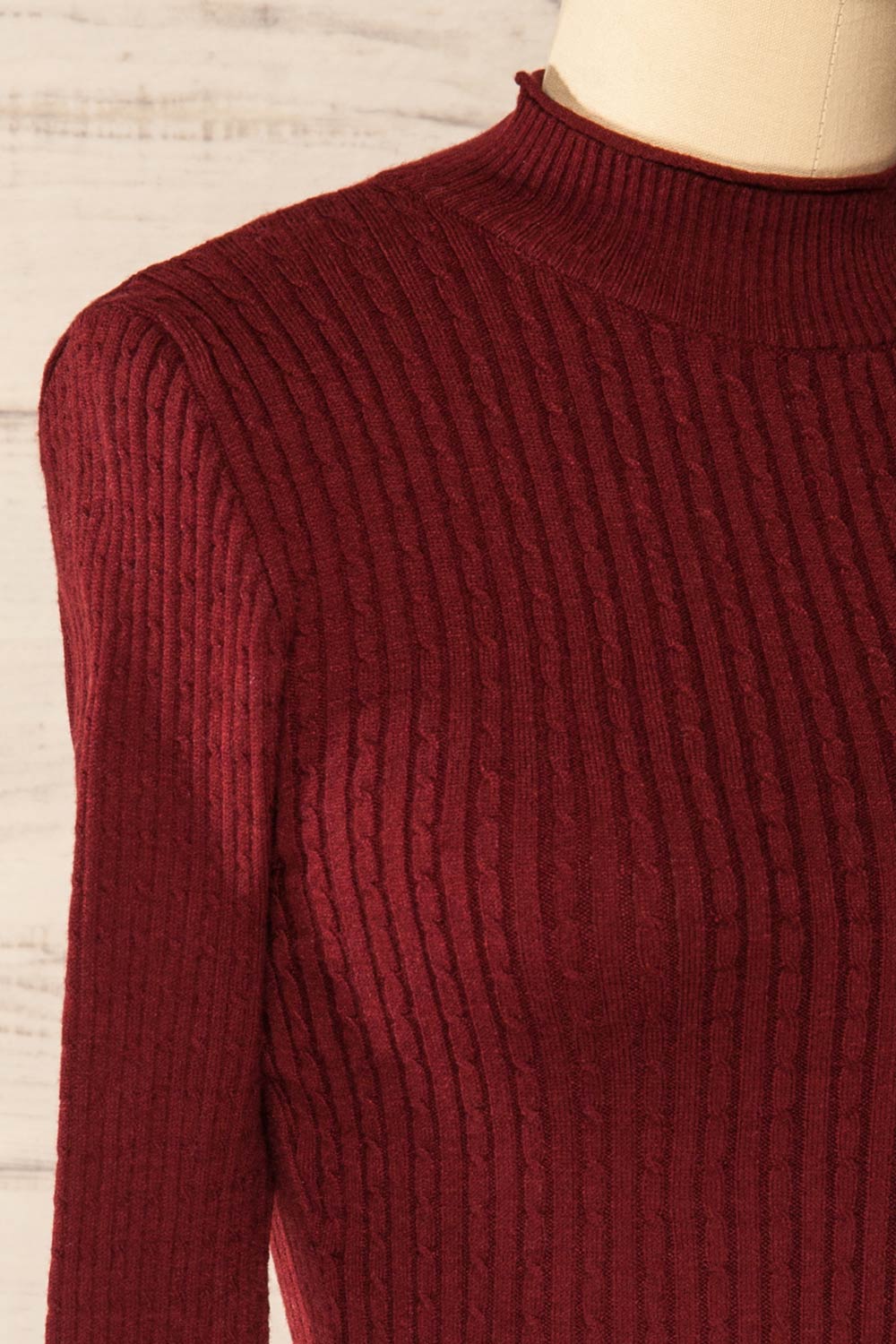 Sambir Burgundy Mock Neck Ribbed Fitted Top | La petite garçonne