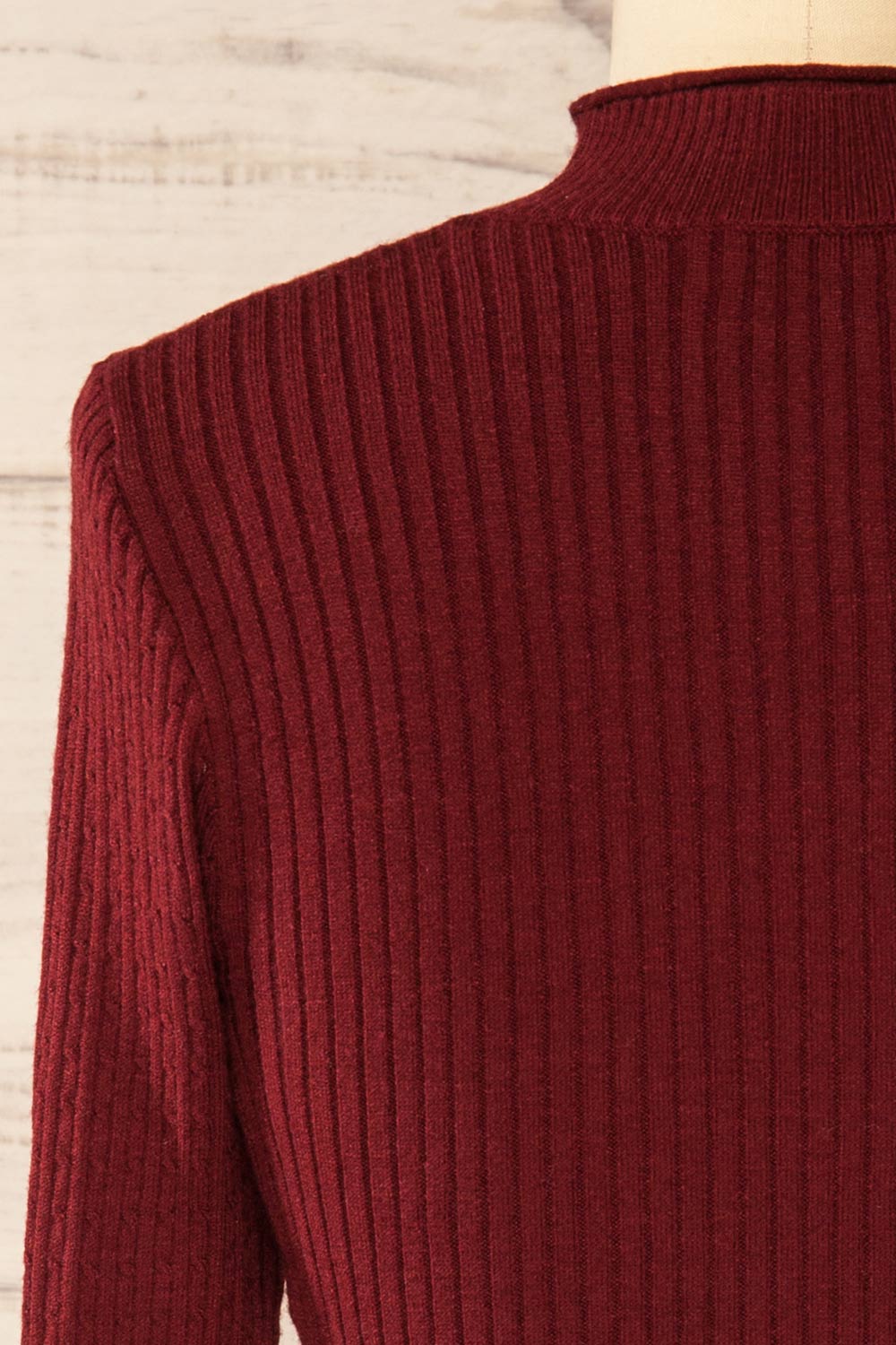 Sambir Burgundy Mock Neck Ribbed Fitted Top | La petite garçonne bakc close-up