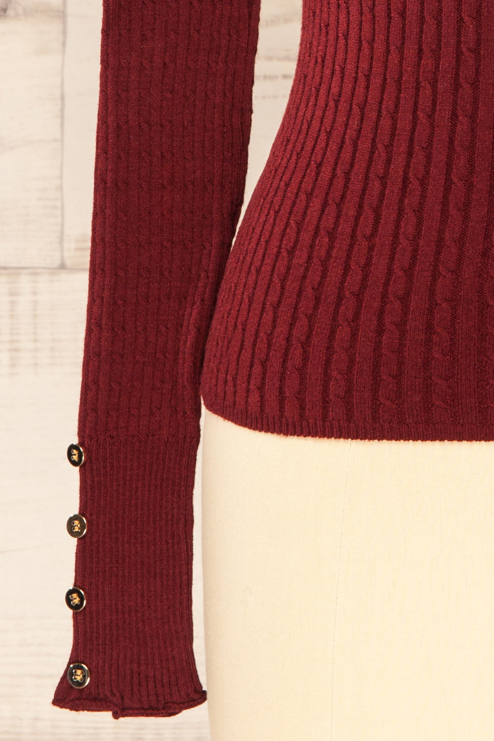 Sambir Burgundy Mock Neck Ribbed Fitted Top | La petite garçonne sleeve