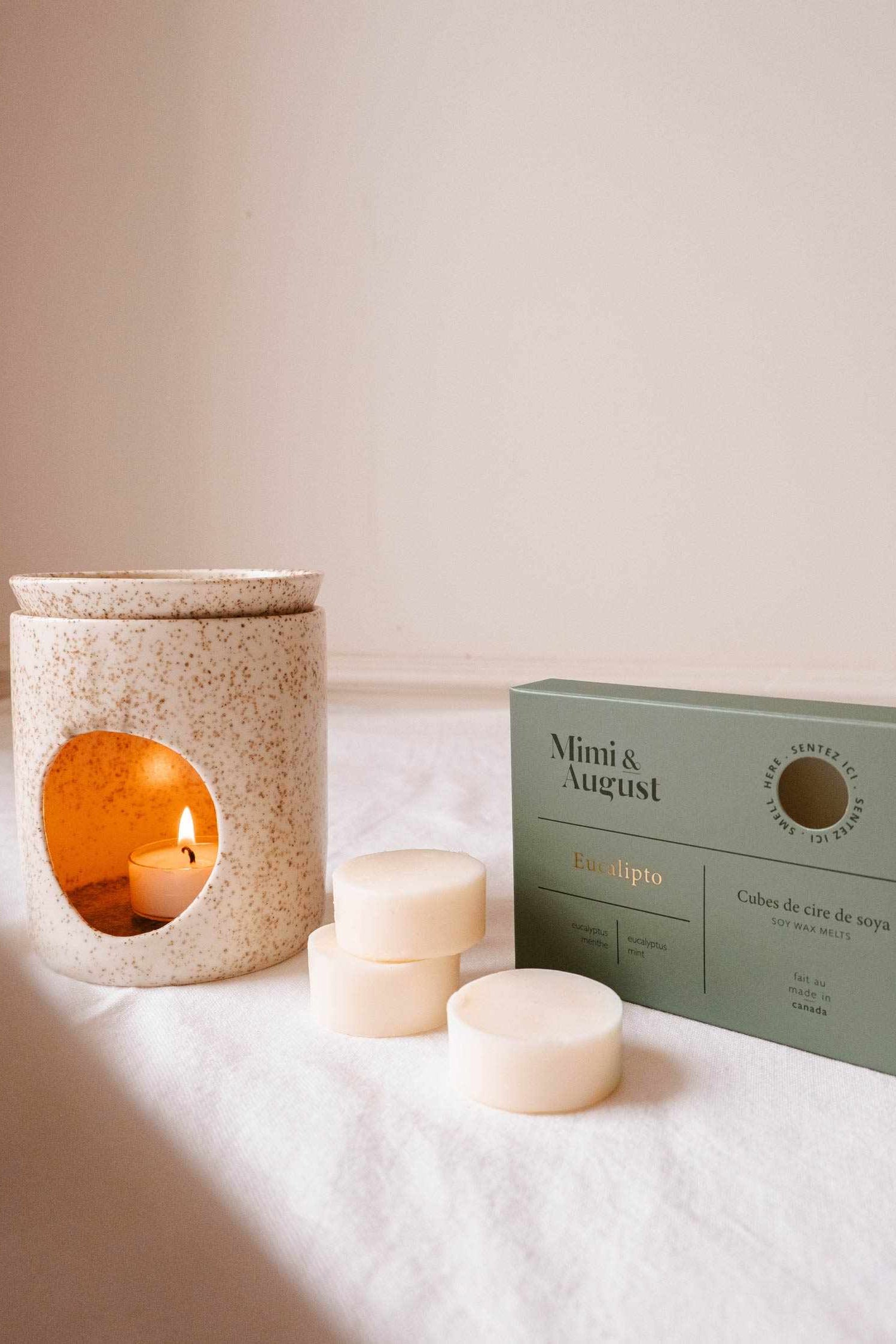 lifestyle view of Eucalipto Soy Wax Melts at Maison garçonne