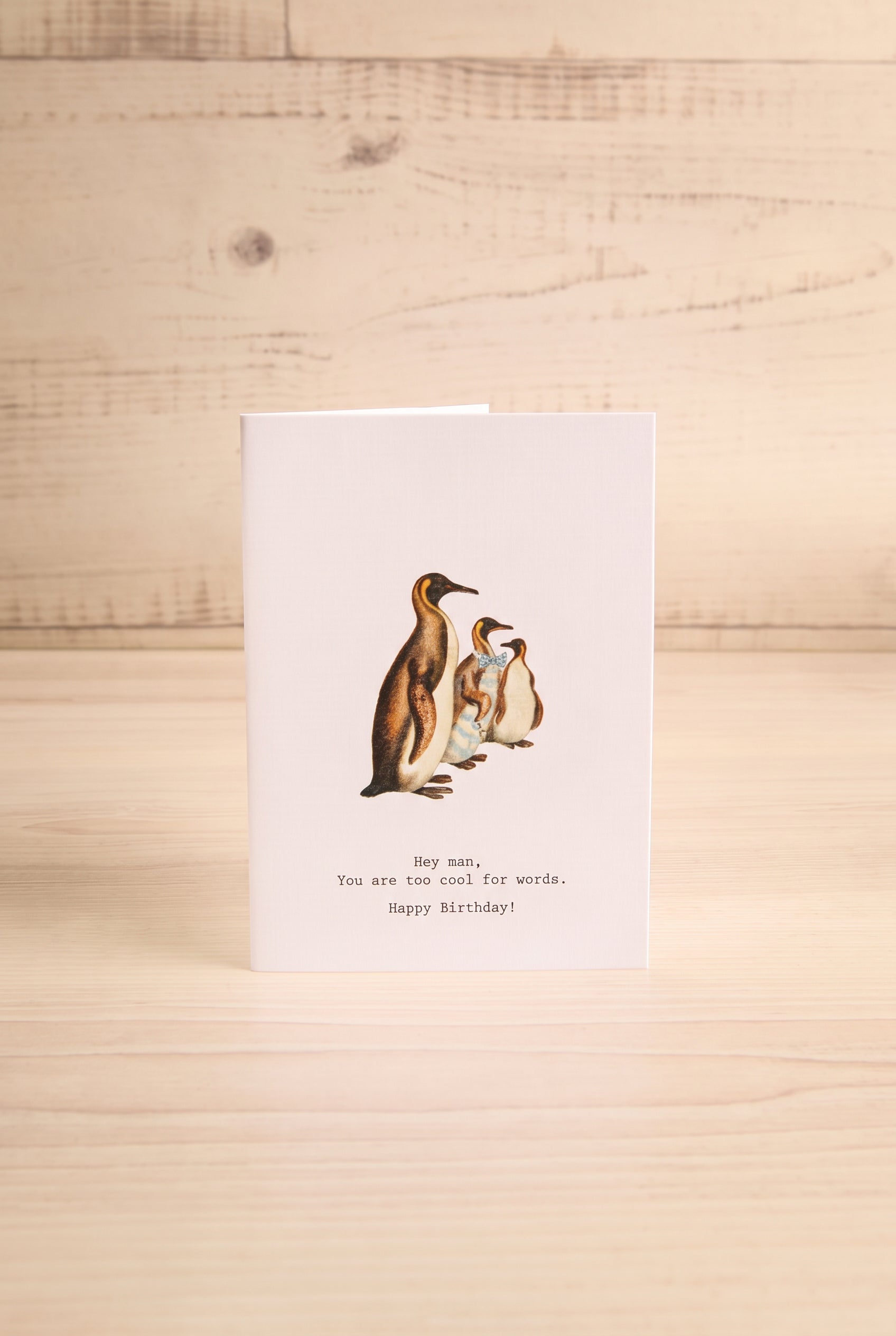 Too Cool Small Greeting Card | Maison Garçonne