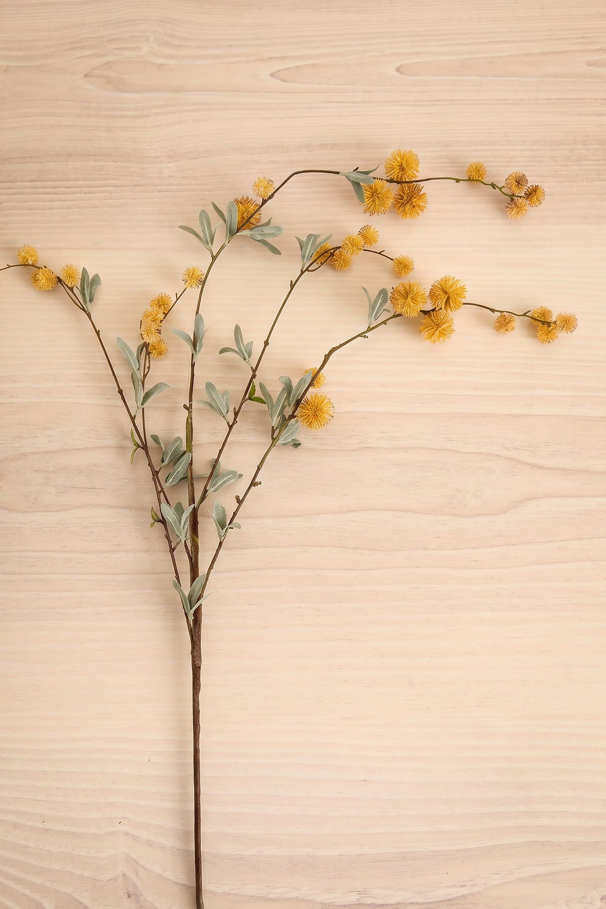 A single golden globe flower spray artificial flower stem with small yellow blossoms and muted green leaves, laid flat on a light wood surface at la maison garçonne boutique in montreal.