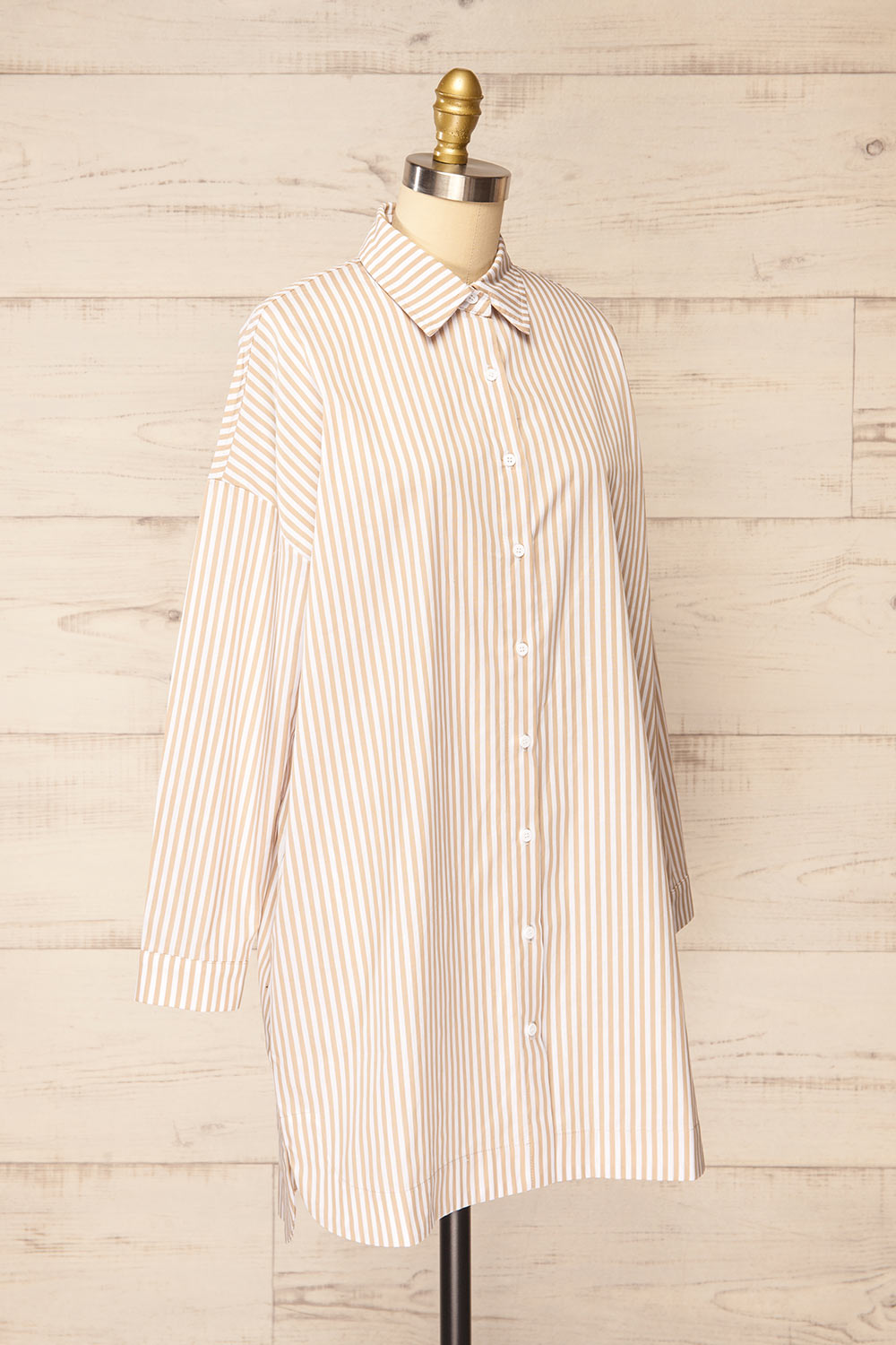 Alistaire Oversized Striped Shirt Dress | La petite garçonne side view