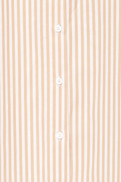 Alistaire Oversized Striped Shirt Dress | La petite garçonne fabric
