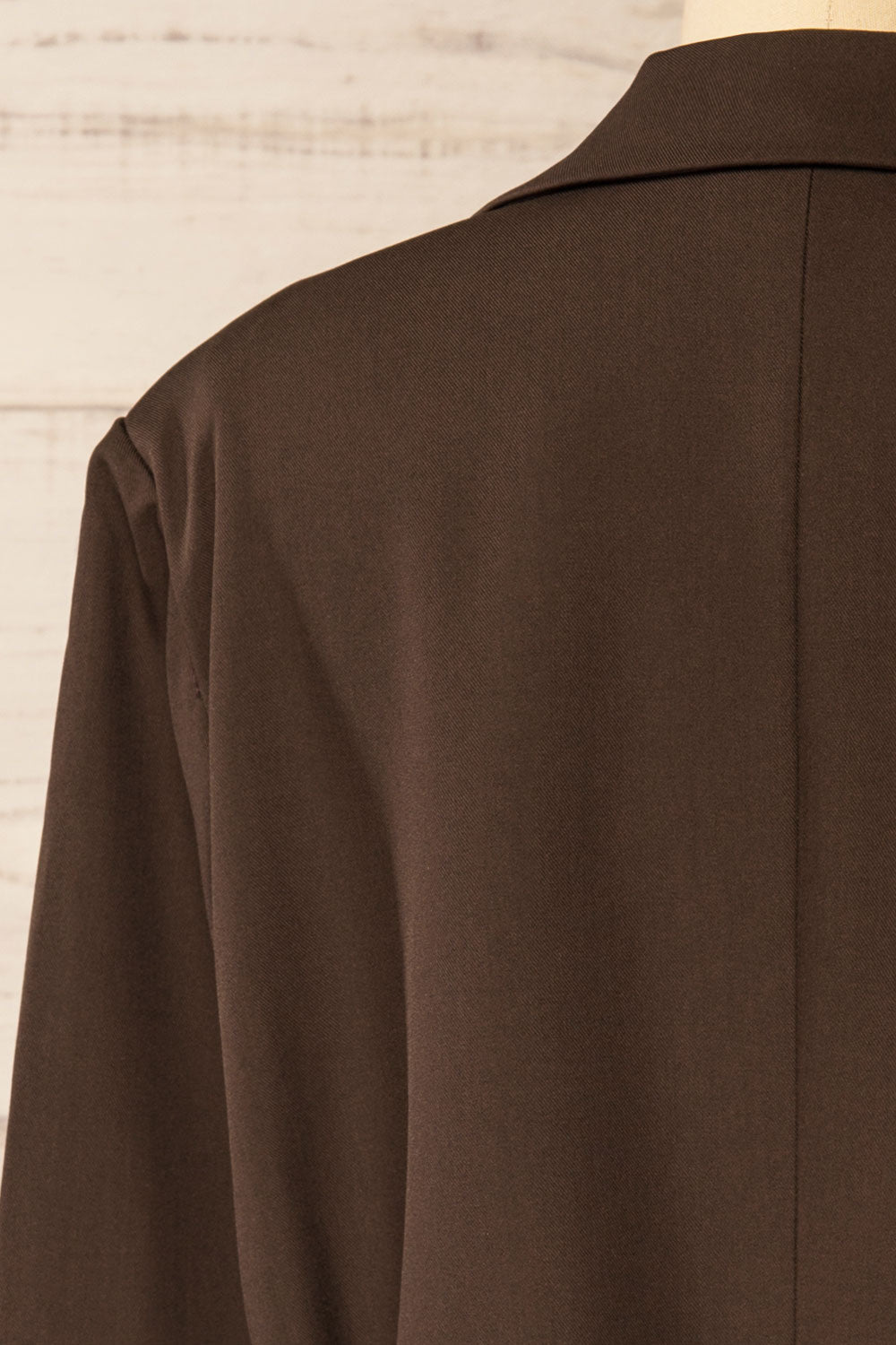 Aosta Brown Oversized Blazer with Back-Tie | La petite garçonne back