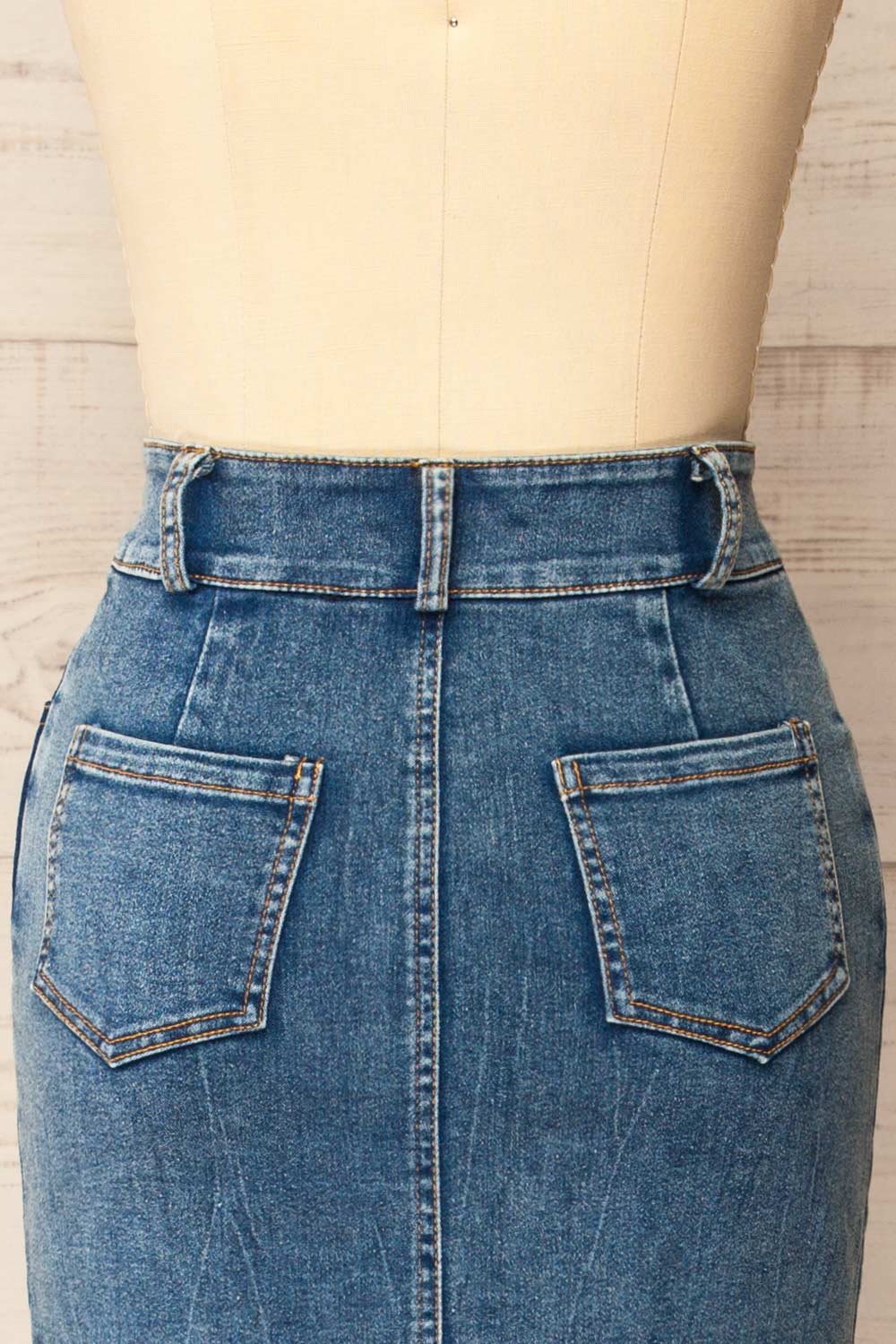 Ardmore Long Denim Skirt | La petite garçonne back