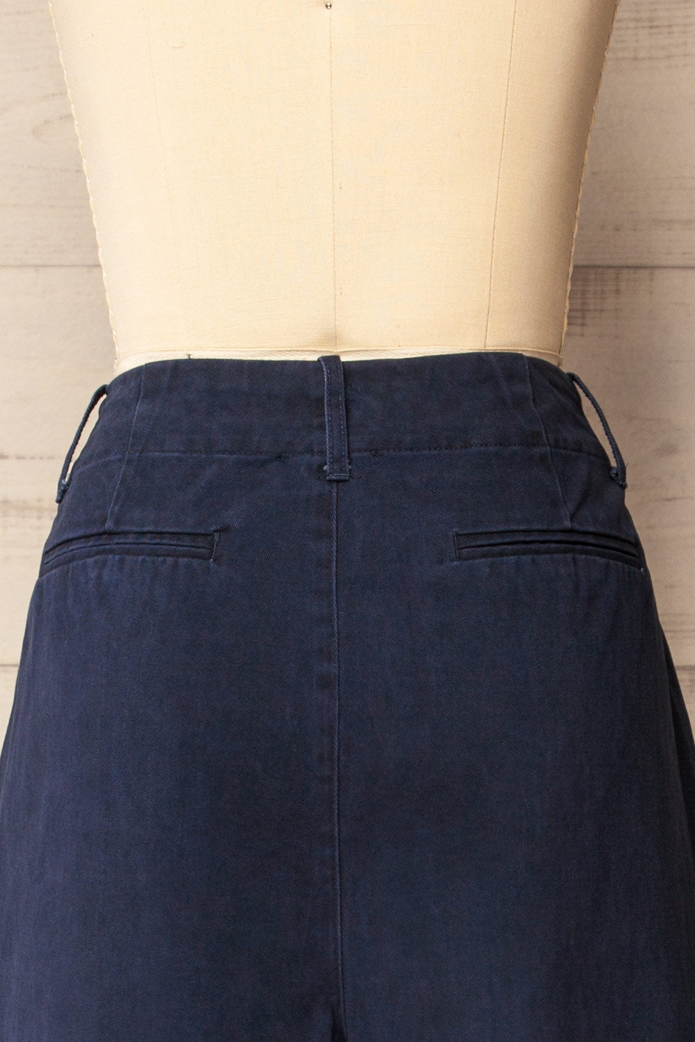 Arizona Navy Wide Leg Pants with Waist Pleats | La petite garçonne back