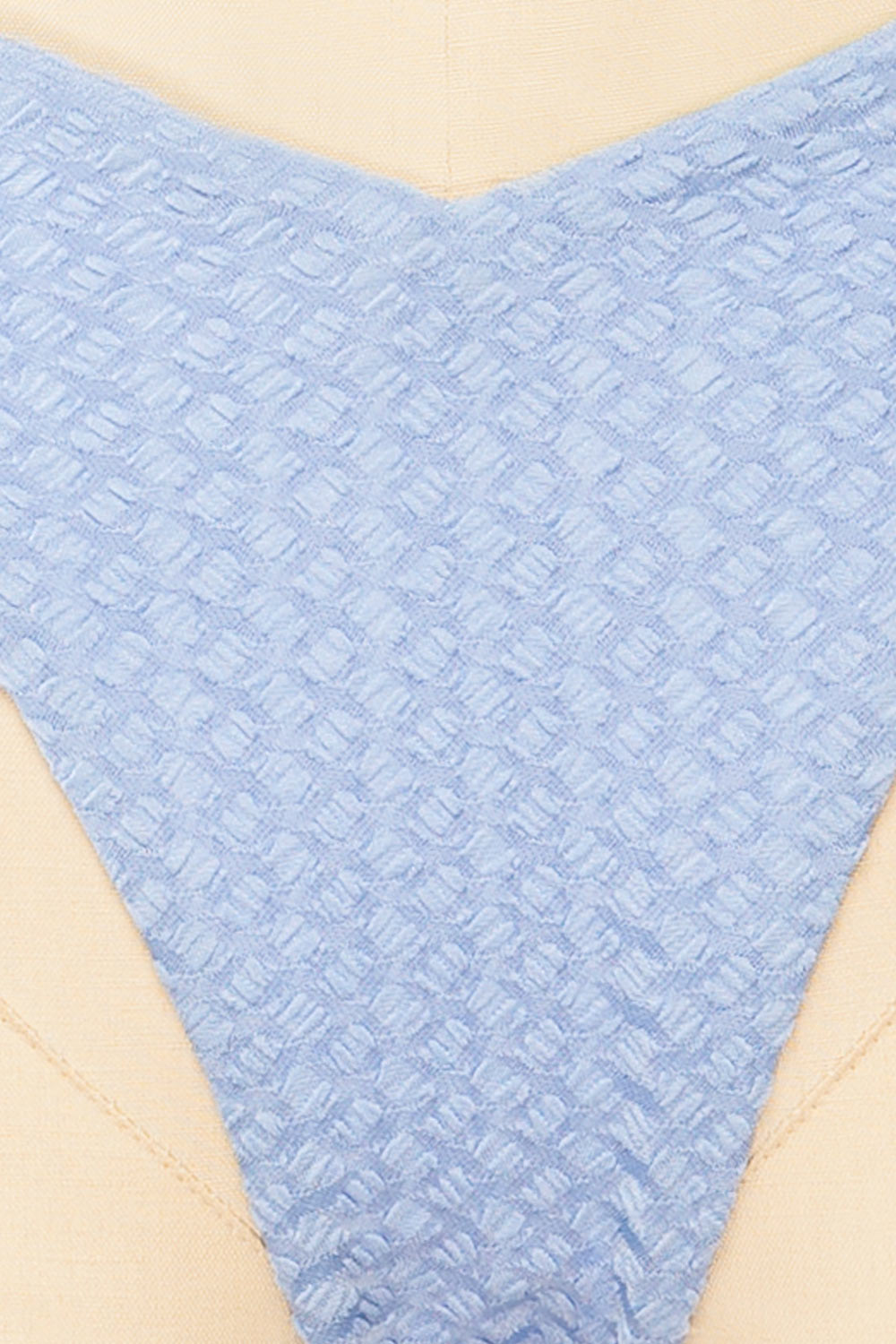 Bachoe Light Blue Bikini Bottom | La petite garçonne fabric