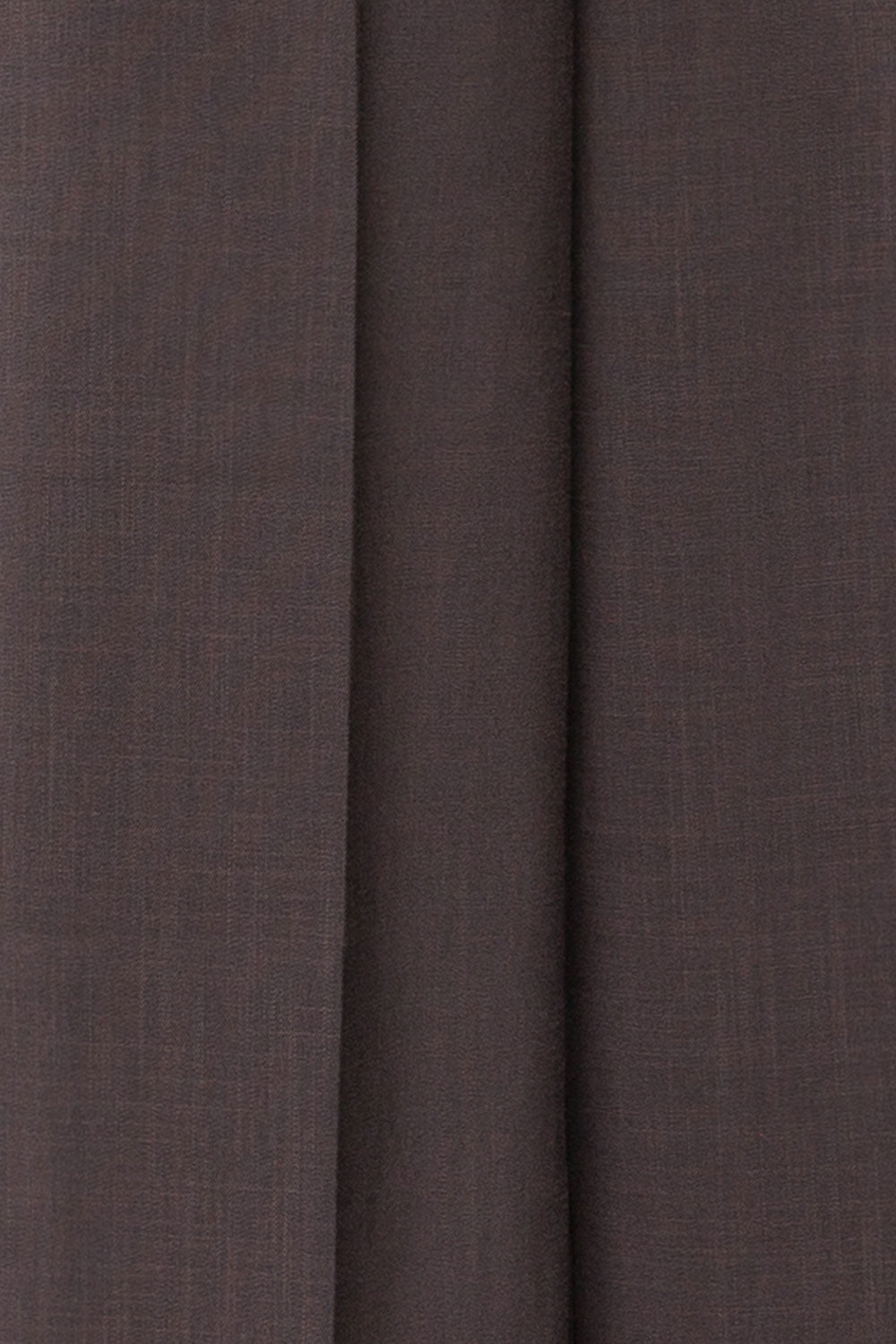 Bancroft Grey Oversized Pants w/ Front Pleats | La petite garçonne fabric