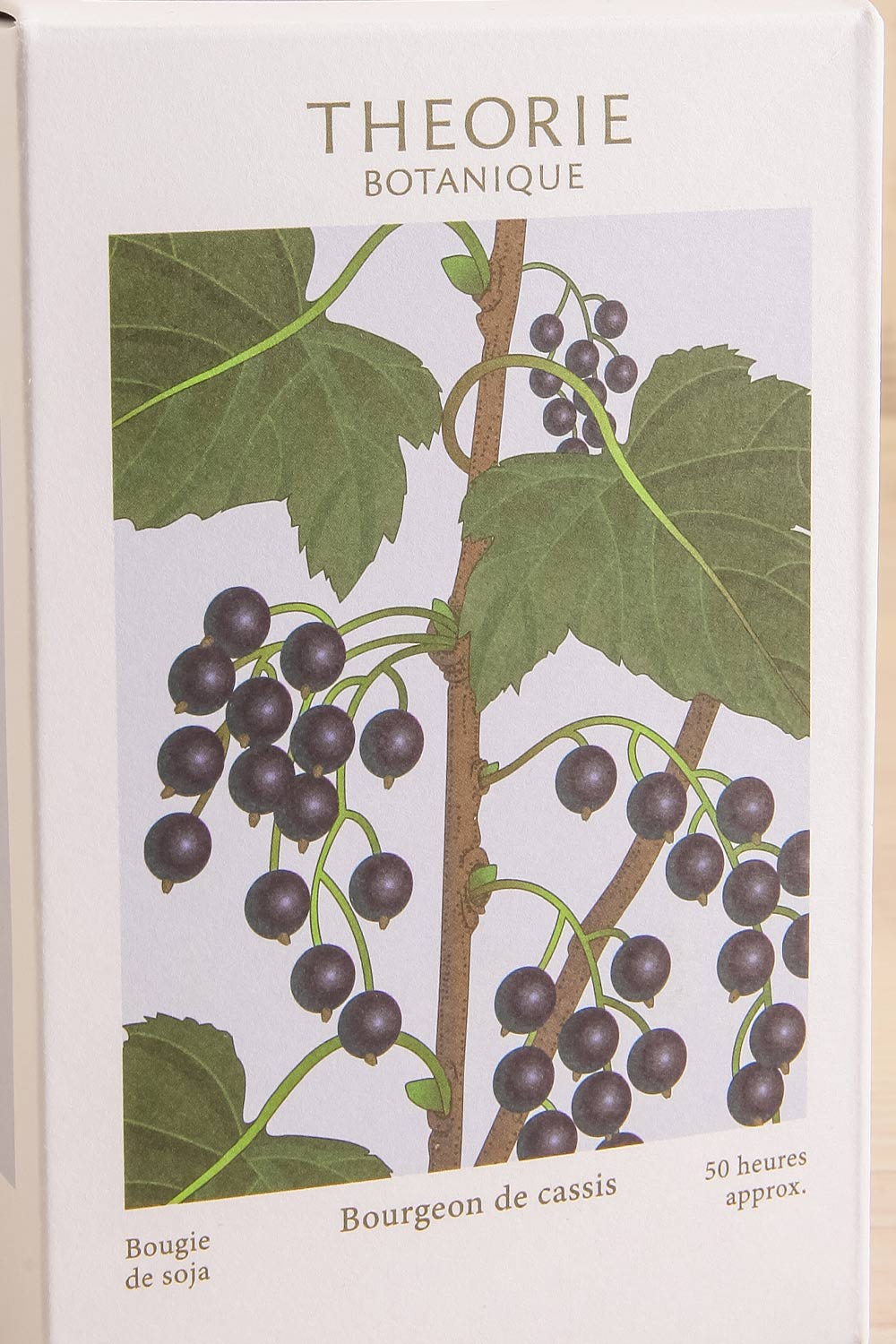 Budling of Cassis Candle by Theorie Botanique | Maison garçonne close-up