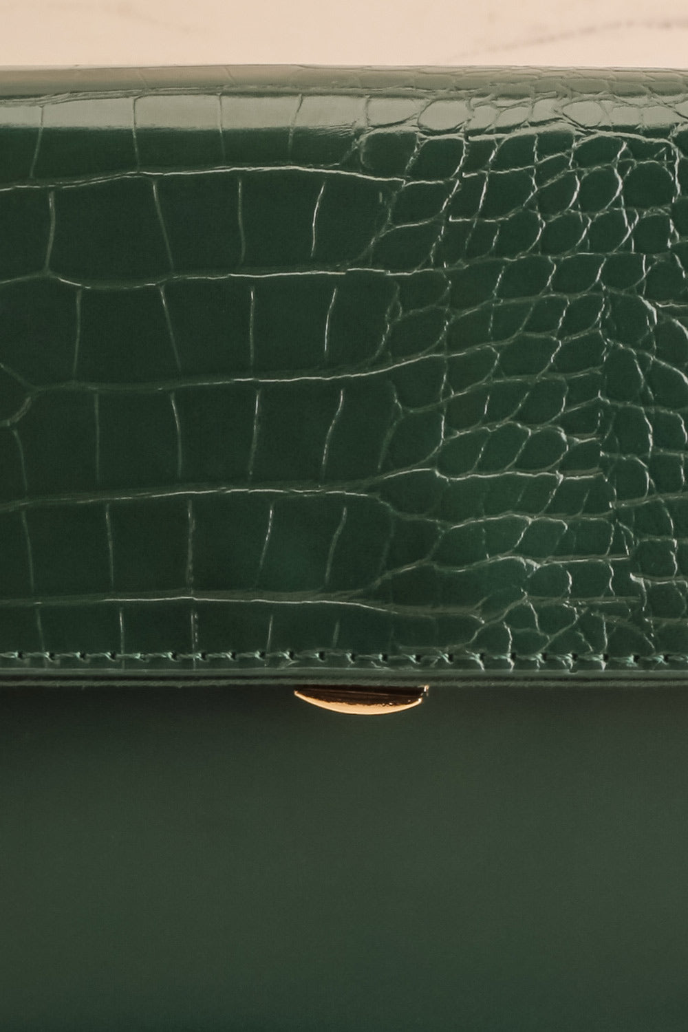 Brazzaville Green Half-Croc Crossbody Bag | La petite garçonne front close-up