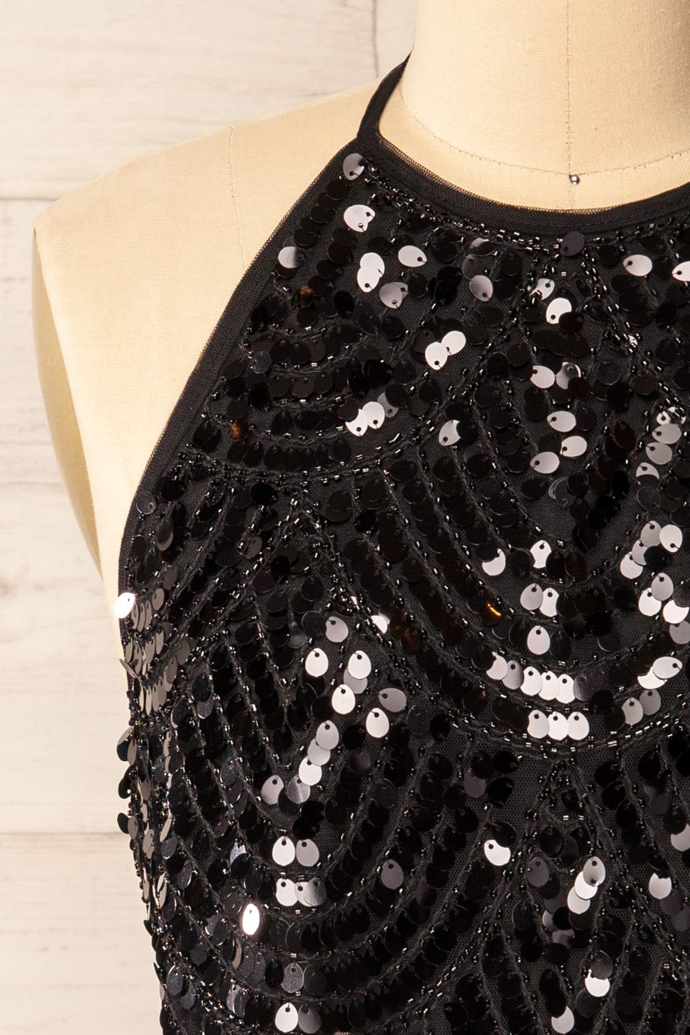 Campeche Cropped Halter Top w/ Black Sequins | La petite garçonne front close-up