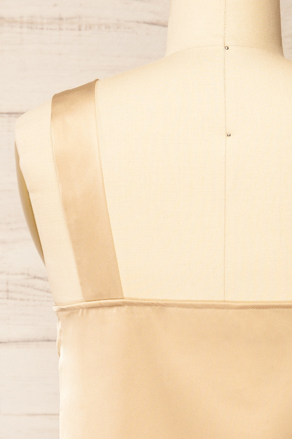 Camrose Champagne Asymmetric Satin Top | La petite garçonne back