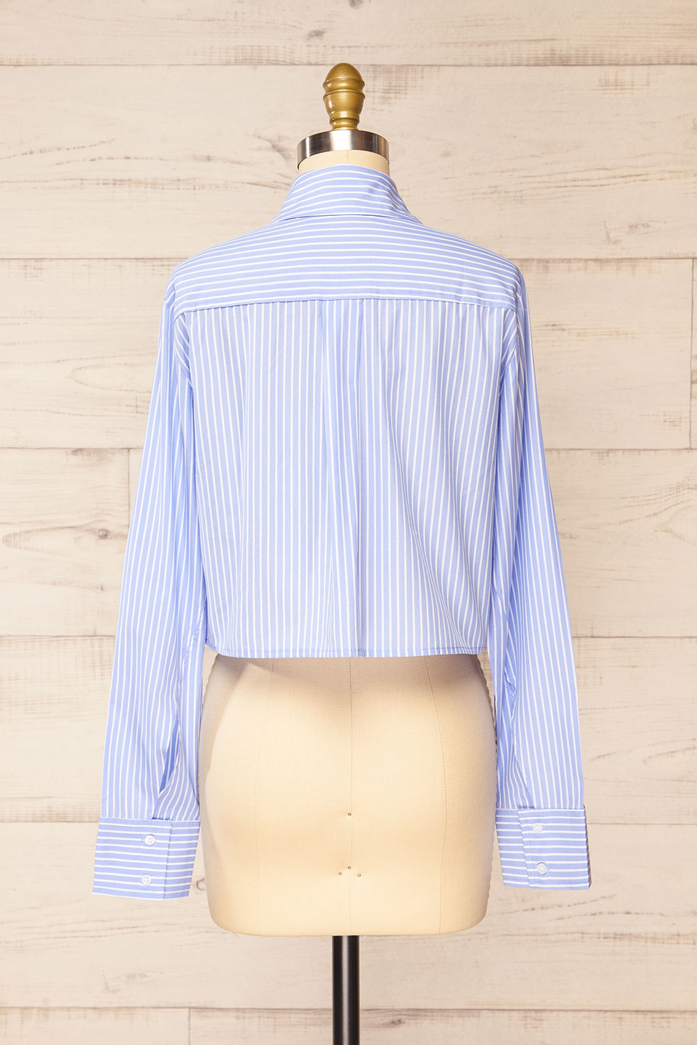 Chandler Cropped Striped Blue Shirt | La petite garçonne back view