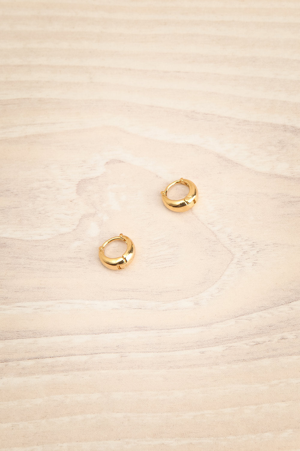 Dardilly Gold Small Hoop Earrings | La petite garçonne