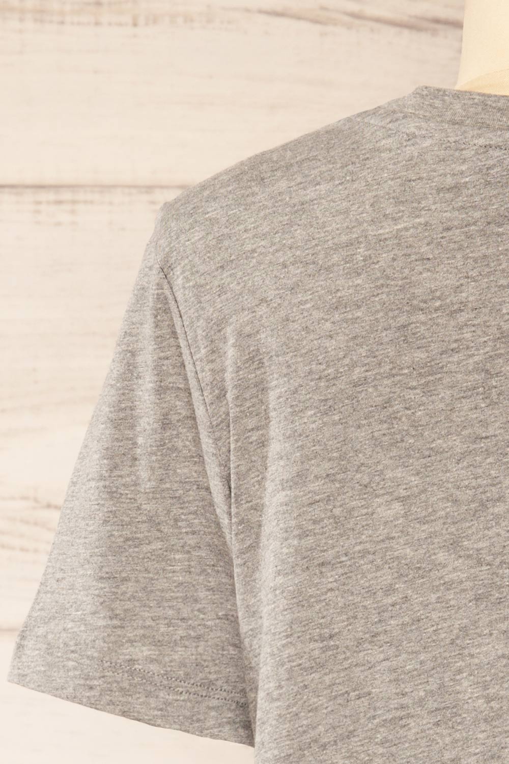 Dumka Light Grey Cotton T-Shirt with Short Sleeves | La petite garçonne back