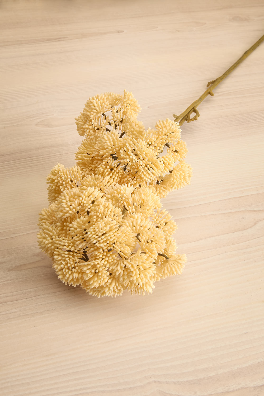 Egemonie Artificial Pom Pom Floral Spray | Maison garçonne view