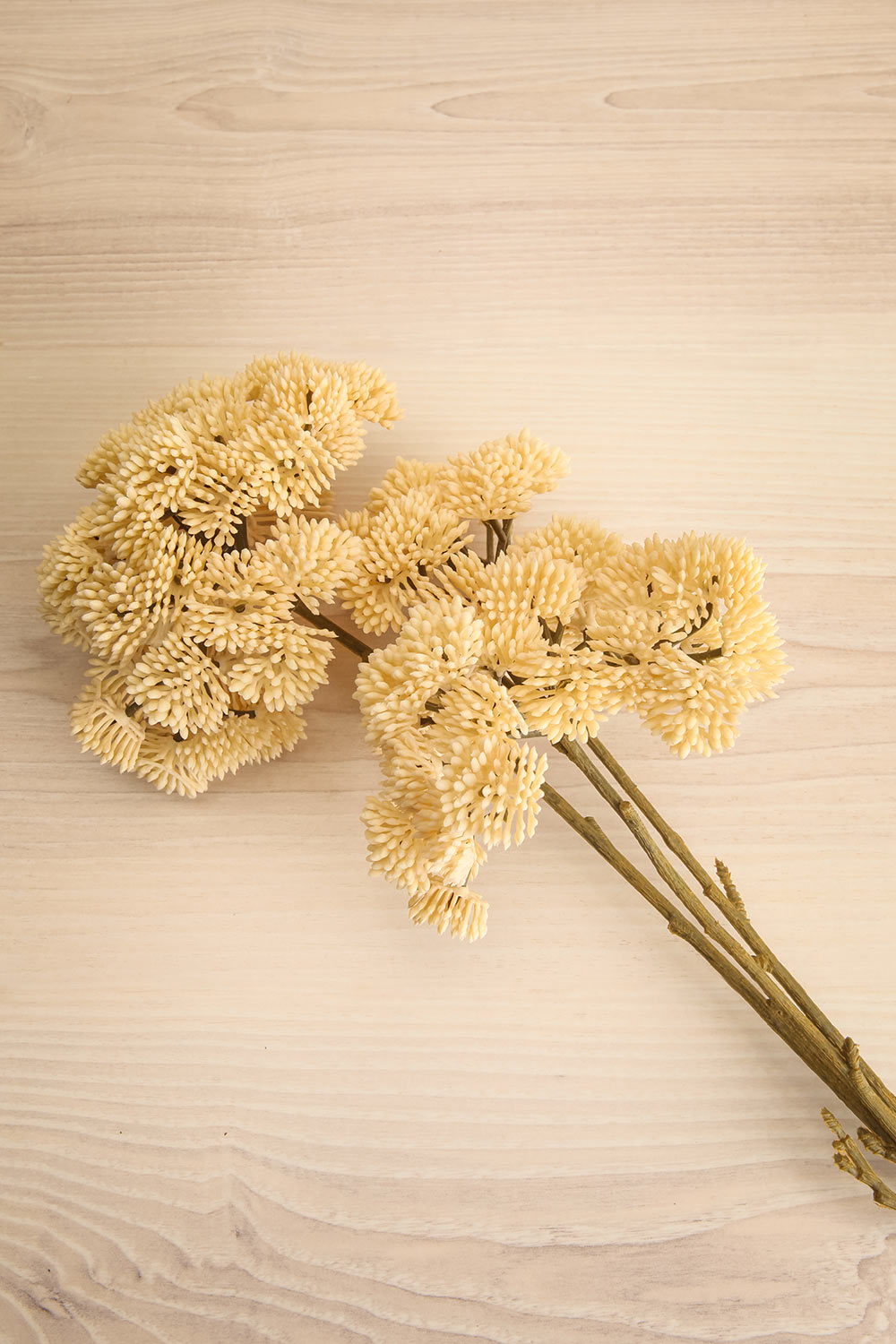 Egemonie Artificial Pom Pom Floral Spray | Maison garçonne