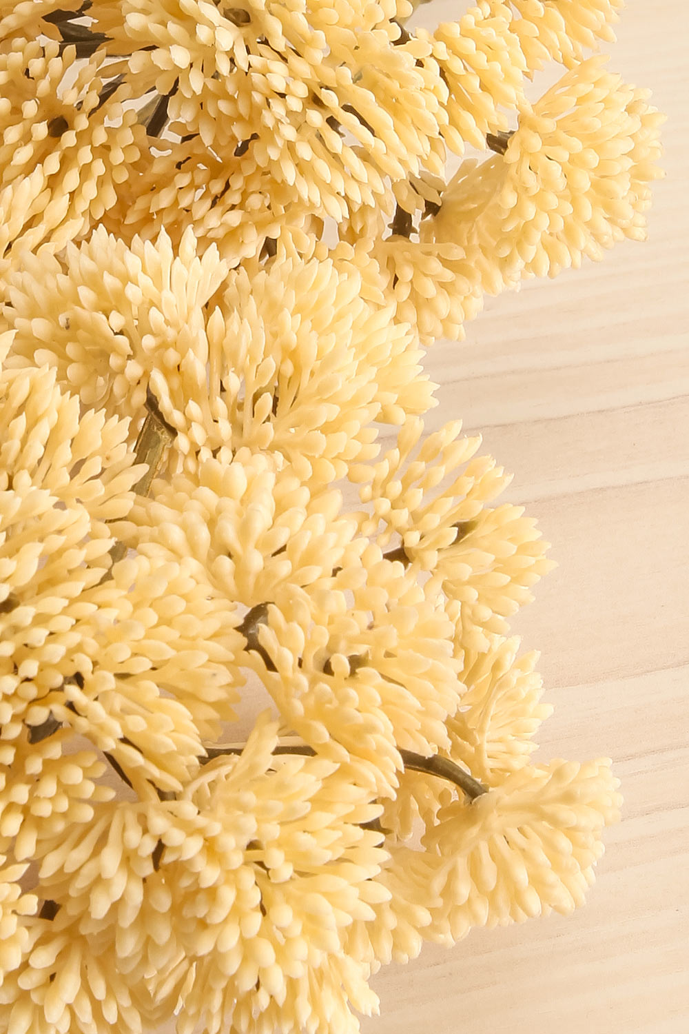 Egemonie Artificial Pom Pom Floral Spray | Maison garçonne close-up