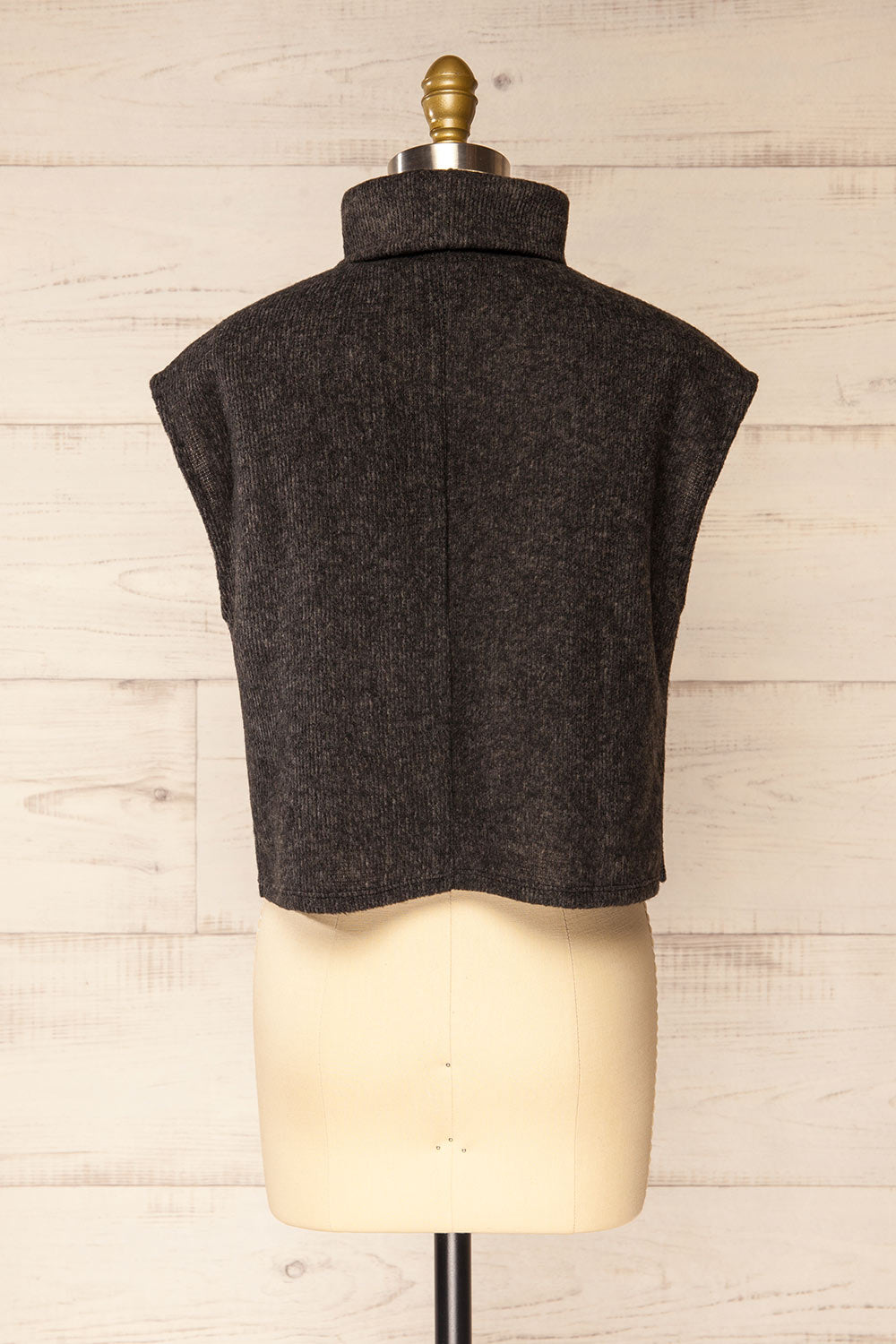 Epernay Charcoal Sleeveless Turtleneck Top | La petite garçonne back view