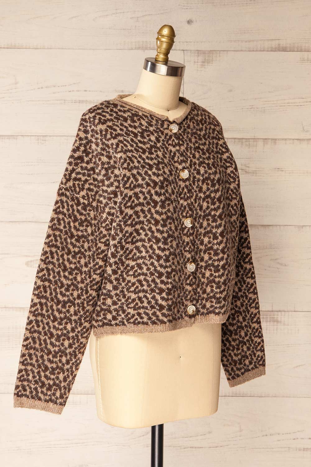 Esenler Oversized Knitted Leopard Cardigan | La petite garçonne side view