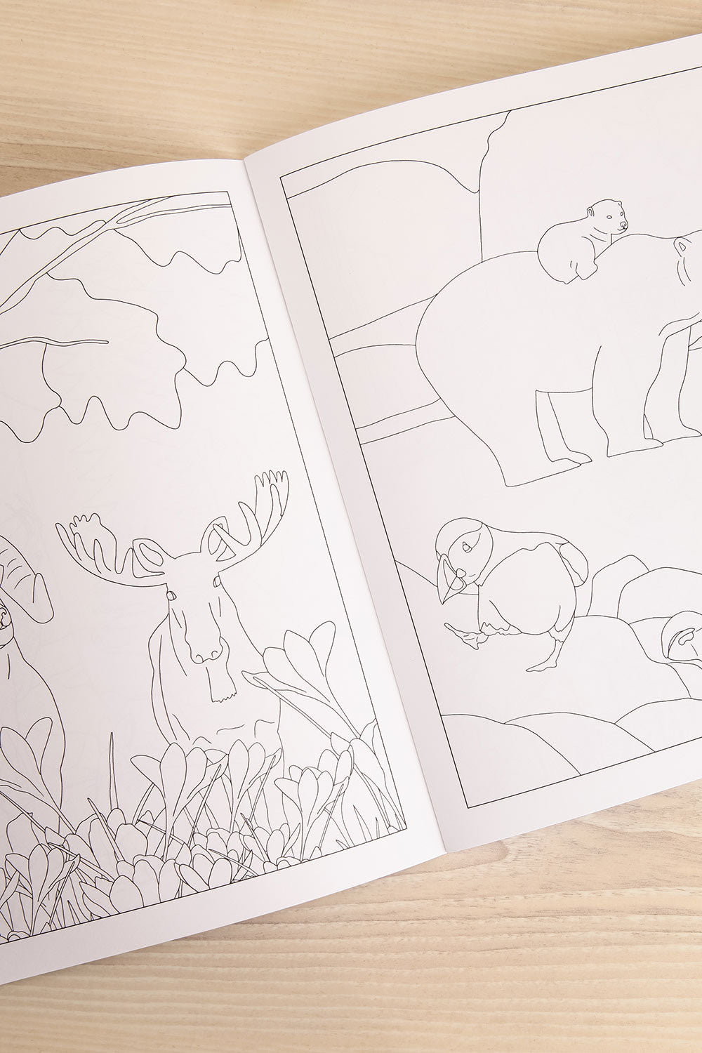 Fauna and Flora Colouring Book | Maison garçonne second view