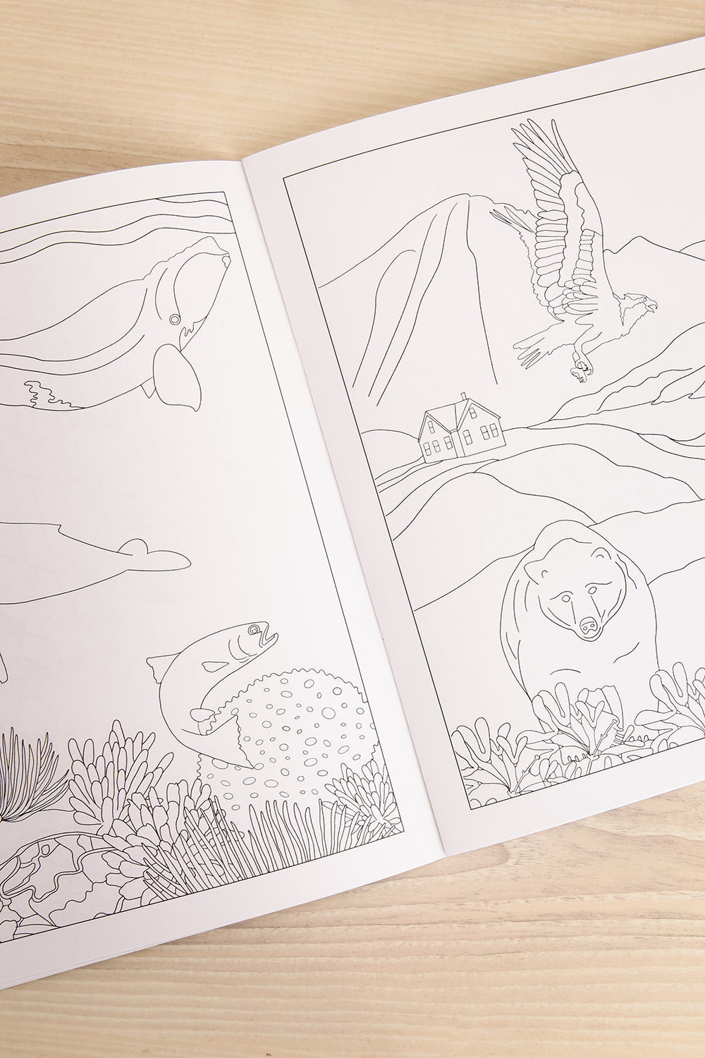 Fauna and Flora Colouring Book | Maison garçonne first view