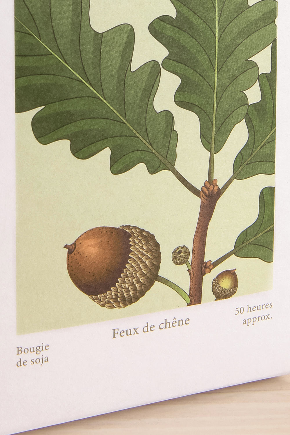 Oak Firewood Candle by Theorie Botanique | Maison garçonne box close-up