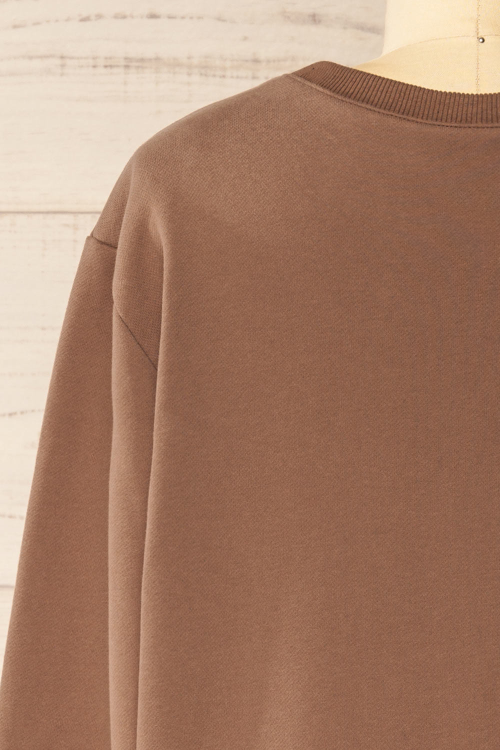 Galway Brown Exclusive La petite garçonne Embroidered Sweatshirt | La petite garçonne back