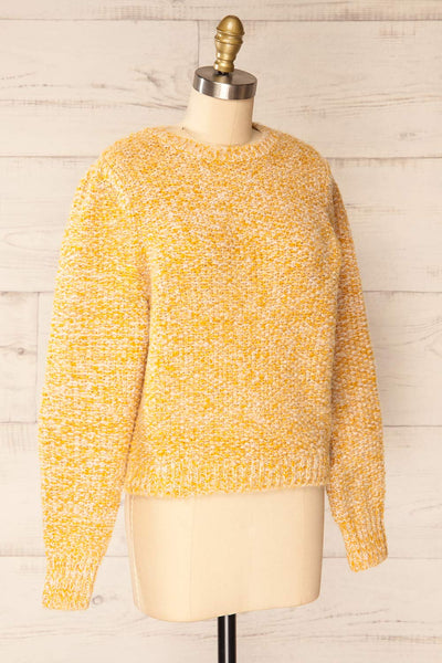 Hautmont Yellow Round Collar Knitted Sweater | La petite garçonne side view