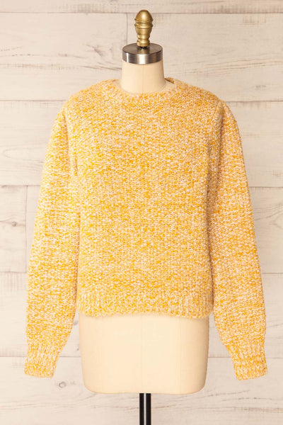 Hautmont Yellow Round Collar Knitted Sweater | La petite garçonne front view